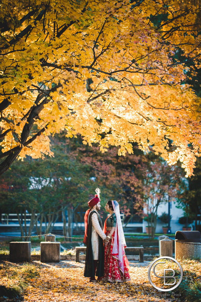 Charlotte NC Indian Wedding Chandi 4