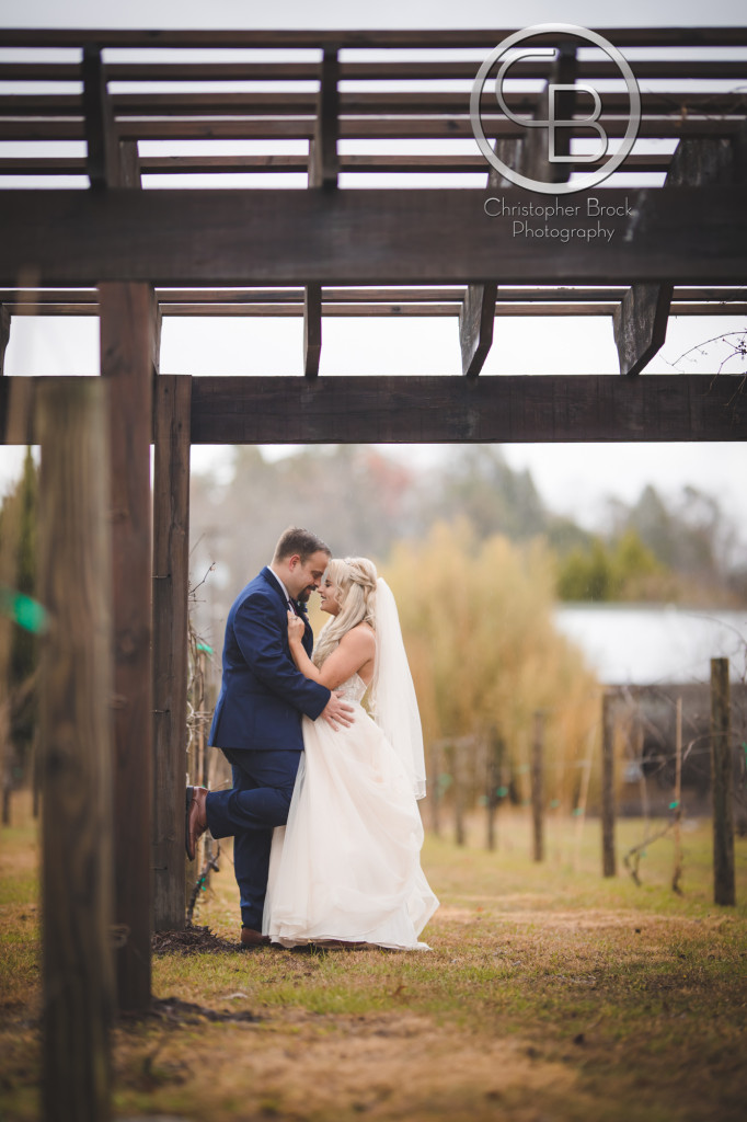 Willow Creek Falls Wedding Justin 6